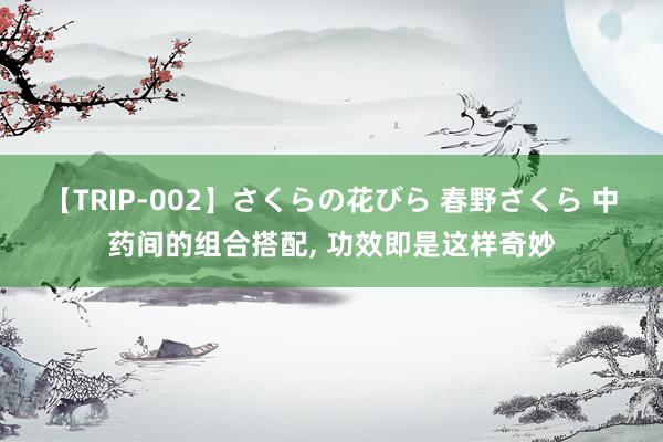 【TRIP-002】さくらの花びら 春野さくら 中药间的组合搭配, 功效即是这样奇妙