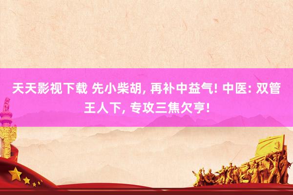 天天影视下载 先小柴胡, 再补中益气! 中医: 双管王人下, 专攻三焦欠亨!