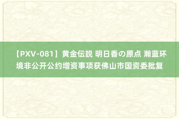 【PXV-081】黄金伝説 明日香の原点 瀚蓝环境非公开公约增资事项获佛山市国资委批复