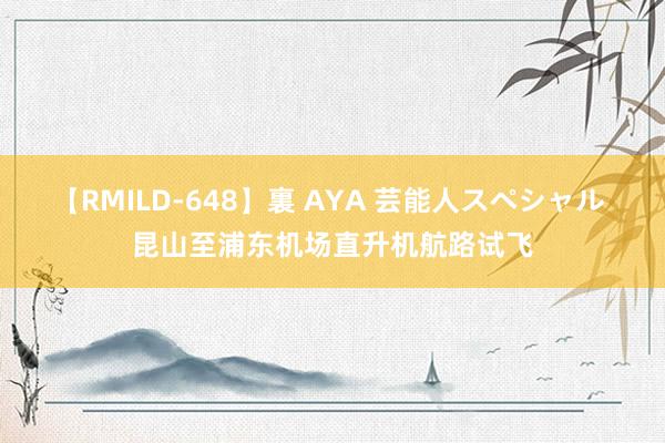 【RMILD-648】裏 AYA 芸能人スペシャル 昆山至浦东机场直升机航路试飞