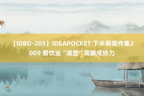 【IDBD-205】IDEAPOCKET 下半期傑作集2009 餐饮业“减塑”需酿成协力