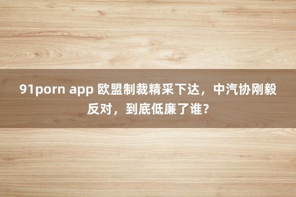 91porn app 欧盟制裁精采下达，中汽协刚毅反对，到底低廉了谁？