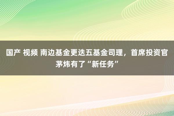 国产 视频 南边基金更迭五基金司理，首席投资官茅炜有了“新任务”