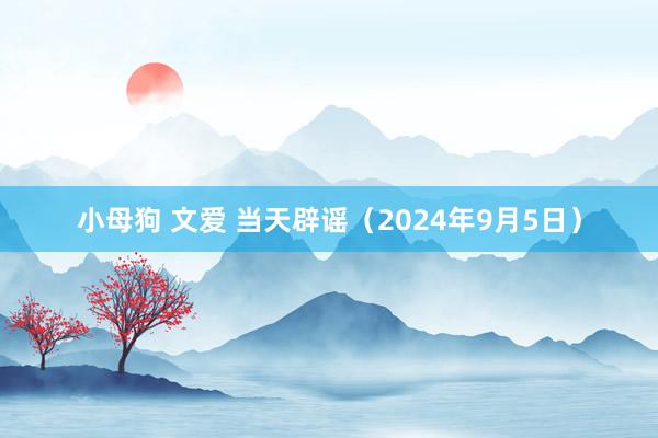 小母狗 文爱 当天辟谣（2024年9月5日）