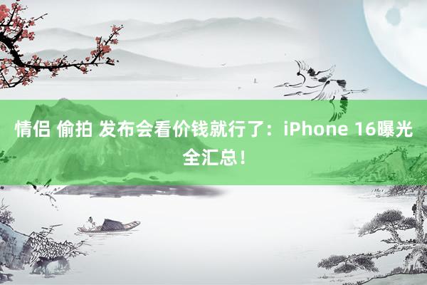 情侣 偷拍 发布会看价钱就行了：iPhone 16曝光全汇总！