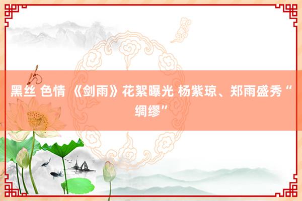 黑丝 色情 《剑雨》花絮曝光 杨紫琼、郑雨盛秀“绸缪”