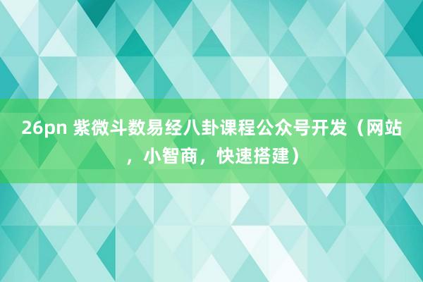 26pn 紫微斗数易经八卦课程公众号开发（网站，小智商，快速搭建）