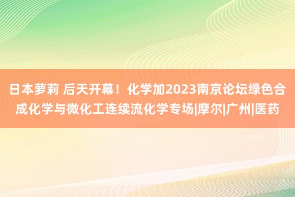 日本萝莉 后天开幕！化学加2023南京论坛绿色合成化学与微化工连续流化学专场|摩尔|广州|医药