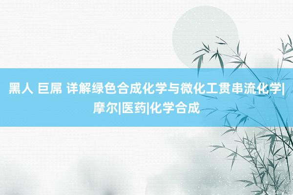 黑人 巨屌 详解绿色合成化学与微化工贯串流化学|摩尔|医药|化学合成