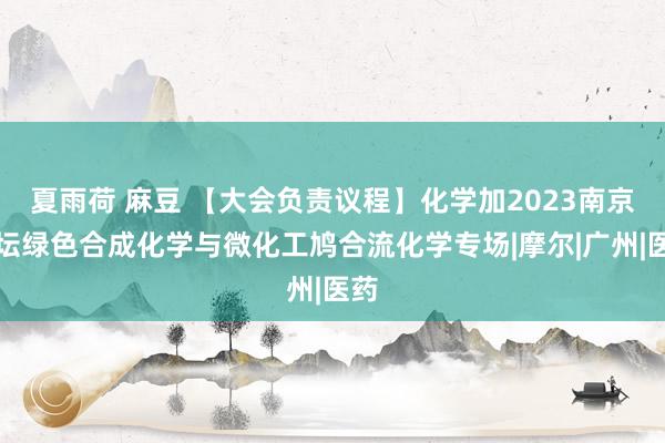 夏雨荷 麻豆 【大会负责议程】化学加2023南京论坛绿色合成化学与微化工鸠合流化学专场|摩尔|广州|医药