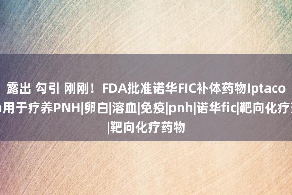 露出 勾引 刚刚！FDA批准诺华FIC补体药物Iptacopan用于疗养PNH|卵白|溶血|免疫|pnh|诺华fic|靶向化疗药物