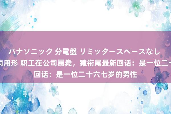 パナソニック 分電盤 リミッタースペースなし 露出・半埋込両